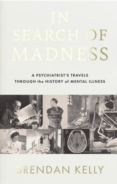 In Search of Madness: A psychiatrist's travels through the history of mental illness