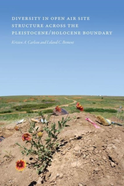 DIVERSITY IN OPENAIR SITE STRUCTURE ACRO