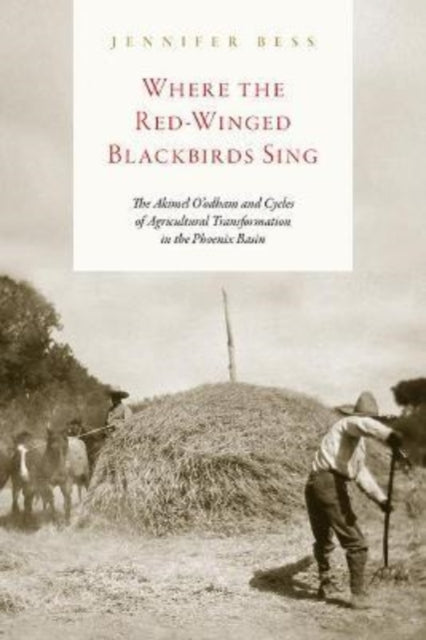WHERE THE REDWINGED BLACKBIRDS SING