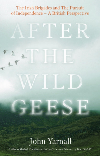 After The Wild Geese: The Irish Brigades and The Pursuit of Independence - A British Perspective