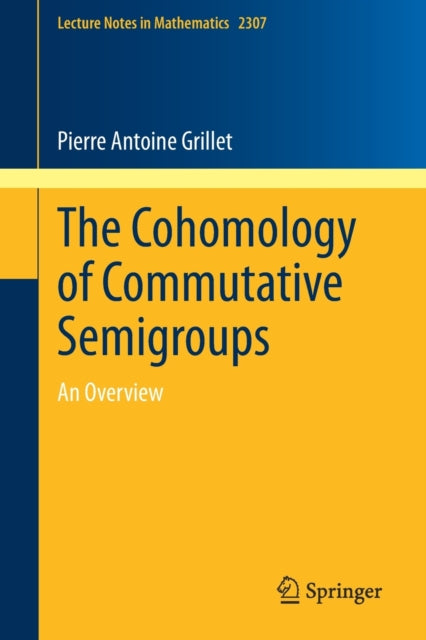 The Cohomology of Commutative Semigroups: An Overview