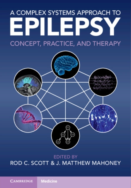A Complex Systems Approach to Epilepsy: Concept, Practice, and Therapy