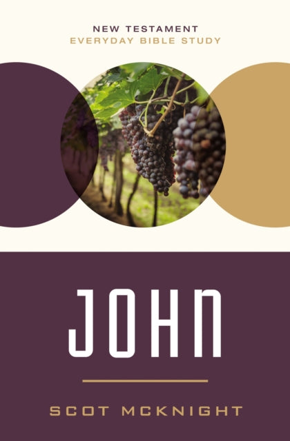 John: Responding to the Incomparable Story of Jesus