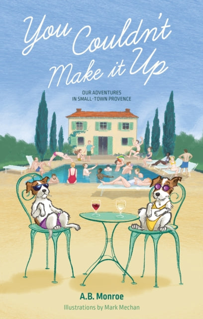 You Couldn't Make it Up: Our Adventures in Small Town Provence