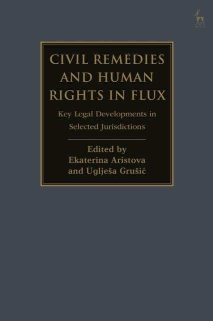 Civil Remedies and Human Rights in Flux: Key Legal Developments in Selected Jurisdictions