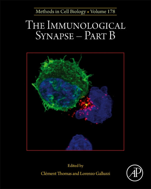 The Immunological Synapse - Part B