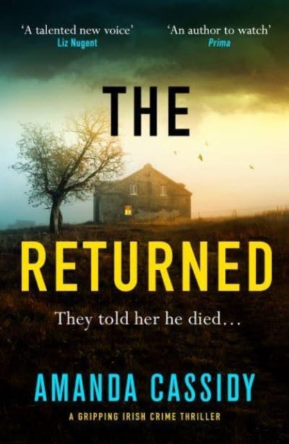 The Returned: A gripping Irish crime thriller