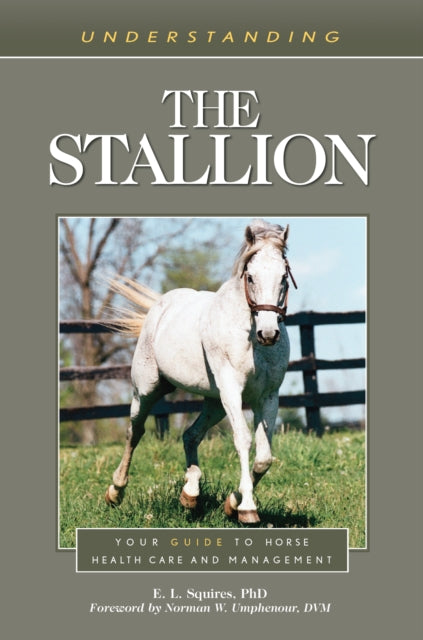 Understanding the Stallion: Your Guide to Horse Health Care and Management