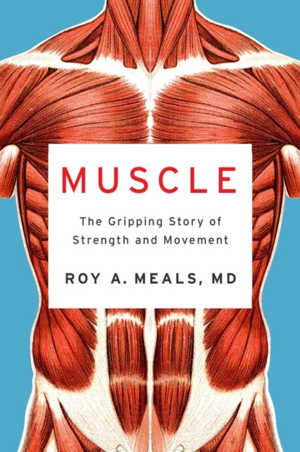Muscle: The Gripping Story of Strength and Movement