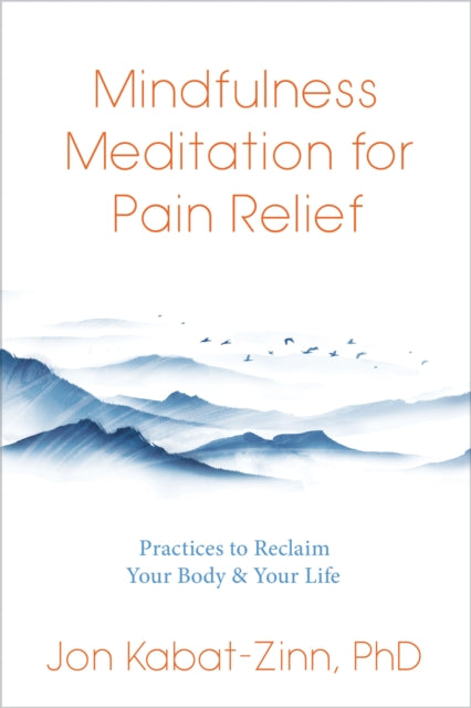 Mindfulness Meditation for Pain Relief: Practices to Reclaim Your Body and Your Life