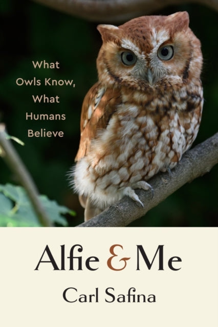 Alfie and Me: What Owls Know, What Humans Believe