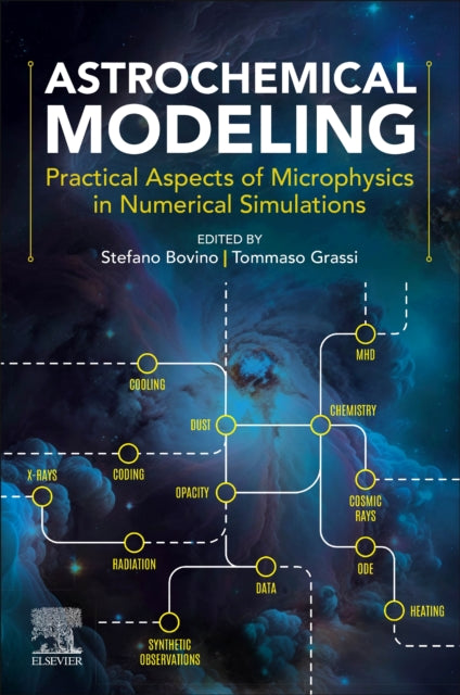 Astrochemical Modeling: Practical Aspects of Microphysics in Numerical Simulations