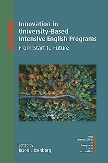 Innovation in University-Based Intensive English Programs: From Start to Future
