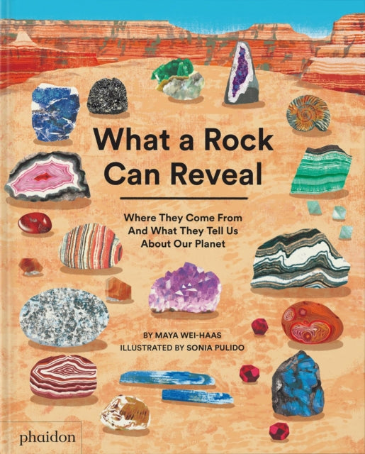 What a Rock Can Reveal: Where They Come From And What They Tell Us About Our Planet