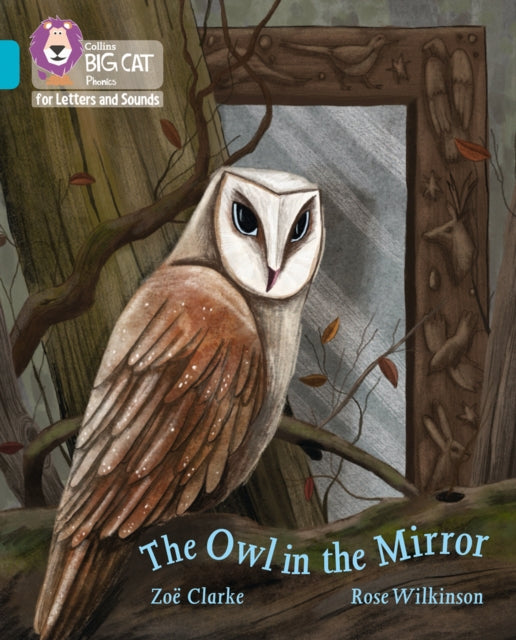 Owl in the Mirror: Band 07/Turquoise