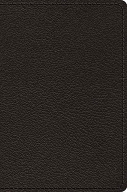 ESV Preaching Bible, Verse-by-Verse Edition