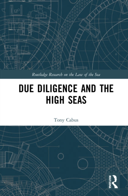 Due Diligence and the High Seas