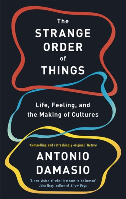 Strange Order Of Things: Life, Feeling and the Making of Cultures