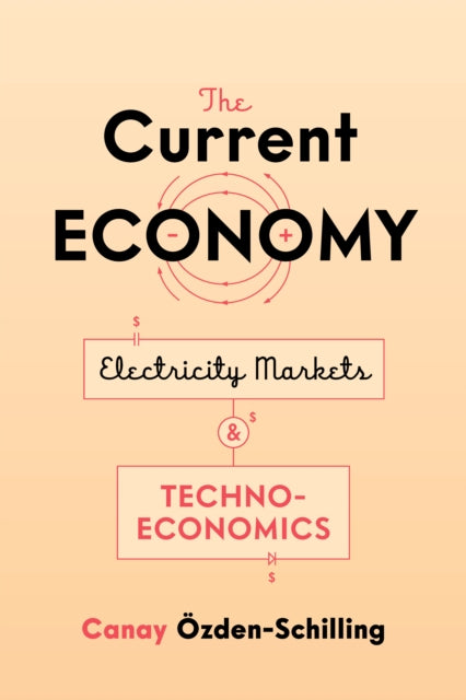 Current Economy: Electricity Markets and Techno-Economics