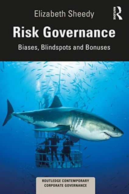 Risk Governance: Biases, Blind Spots and Bonuses