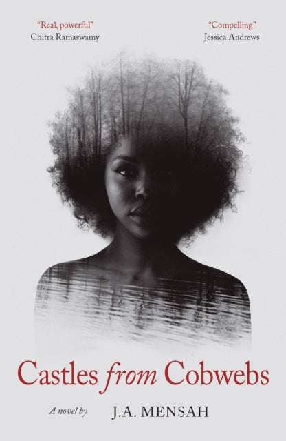 Castles from Cobwebs