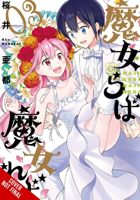 If Witch, Then Which?, Vol. 3