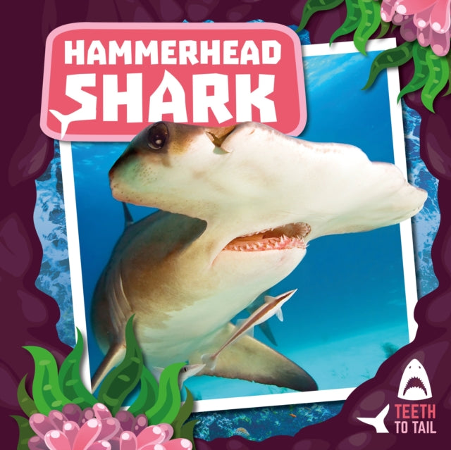 Hammerhead Shark: Teeth to Tail