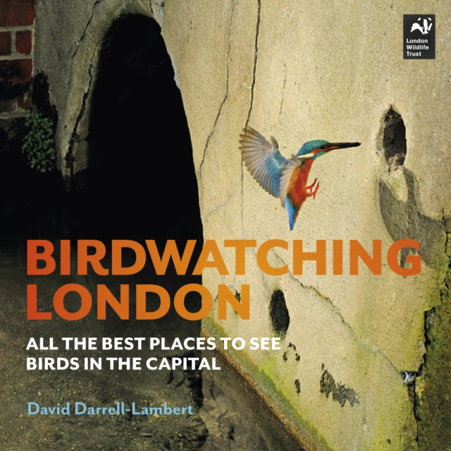 Birdwatching London: All the Best Places to See Birds in the Capital