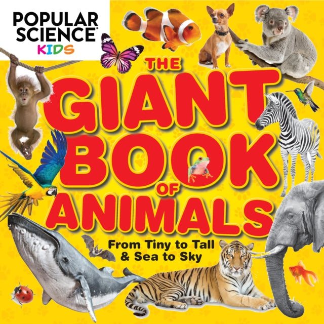 Popular Science Kids: Weird, Wild & Wonderful: From Tiny to Tall & Sea to Sky