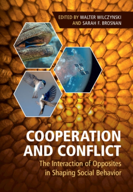 Cooperation and Conflict: The Interaction of Opposites in Shaping Social Behavior
