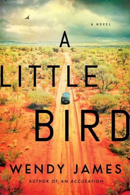 Little Bird: A Novel