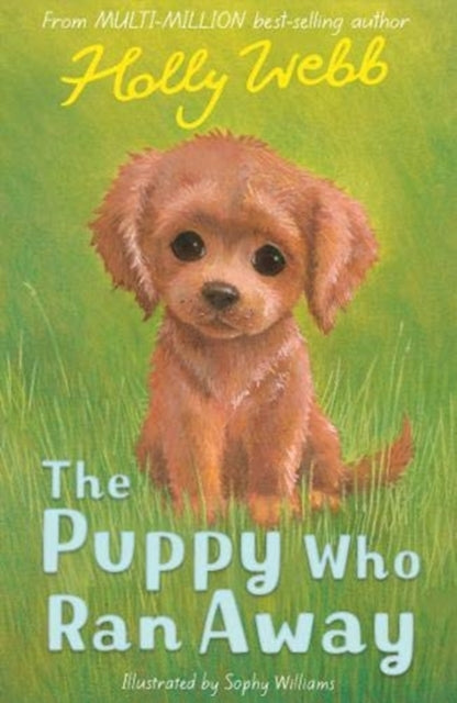 Puppy Who Ran Away