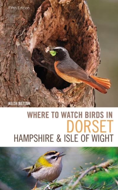 Where to Watch Birds in Dorset, Hampshire and the Isle of Wight: 5th Edition