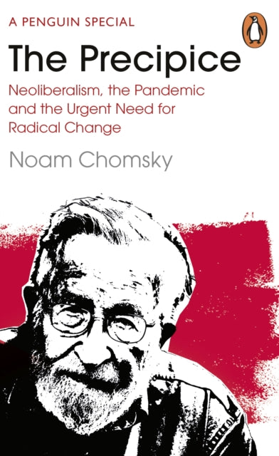 Precipice: Neoliberalism, the Pandemic and the Urgent Need for Radical Change