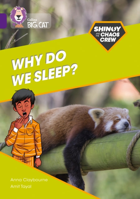 Shinoy and the Chaos Crew: Why do we sleep?: Band 08/Purple