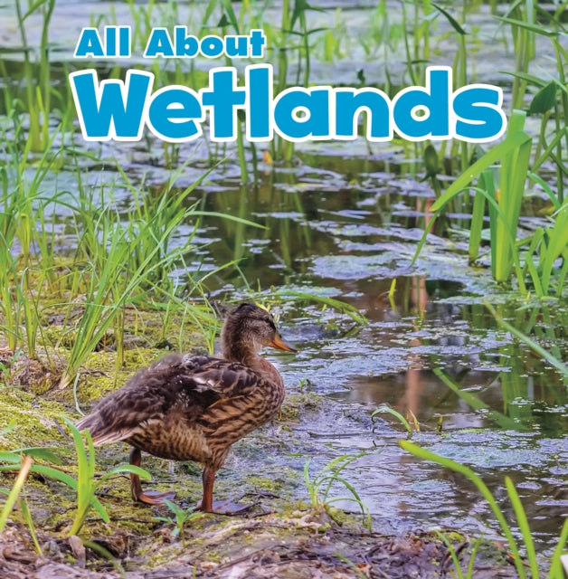 All About Wetlands