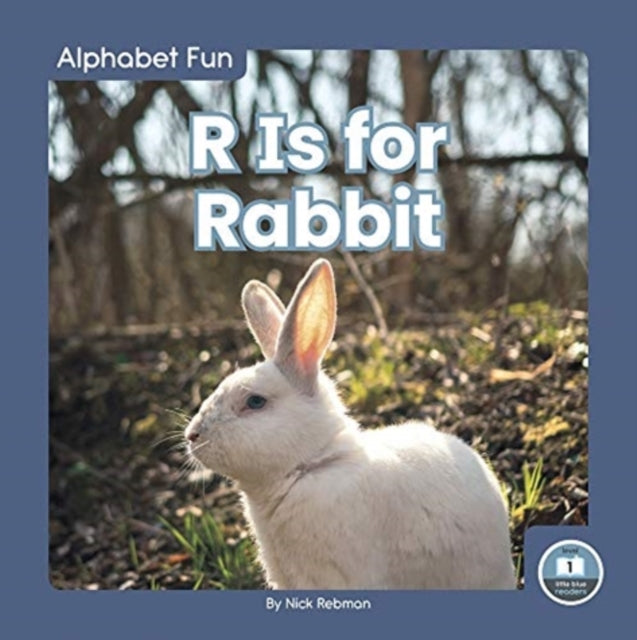 Alphabet Fun: R is for Rabbit