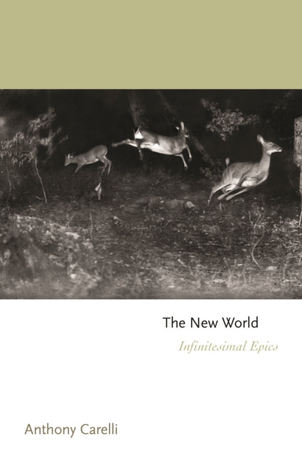 New World: Infinitesimal Epics