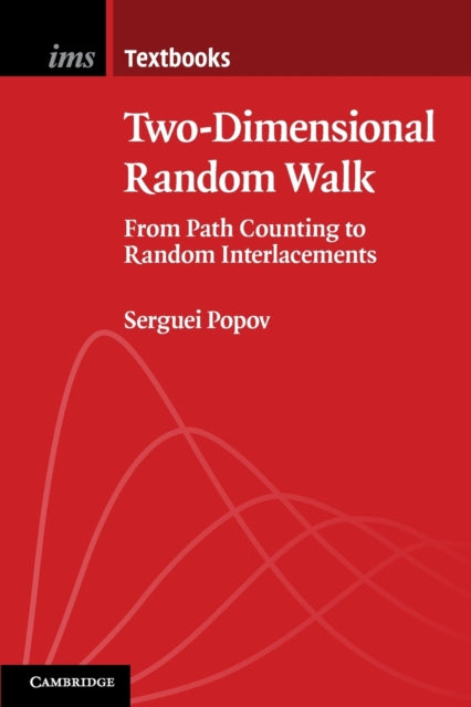 Two-Dimensional Random Walk: From Path Counting to Random Interlacements