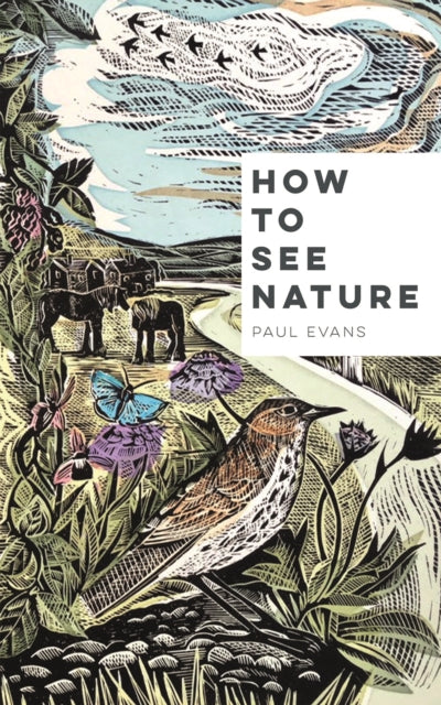How to See Nature