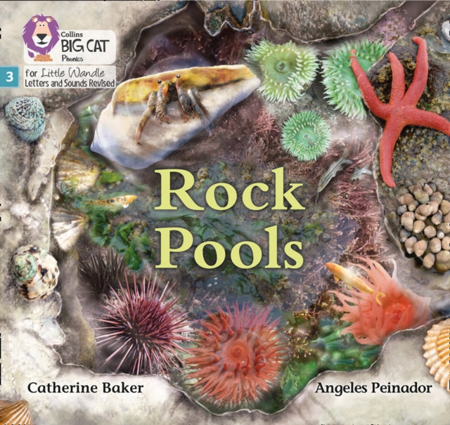 Rock Pools: Phase 3
