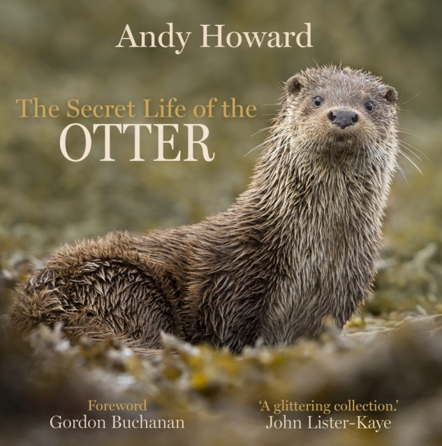 Secret Life of the Otter