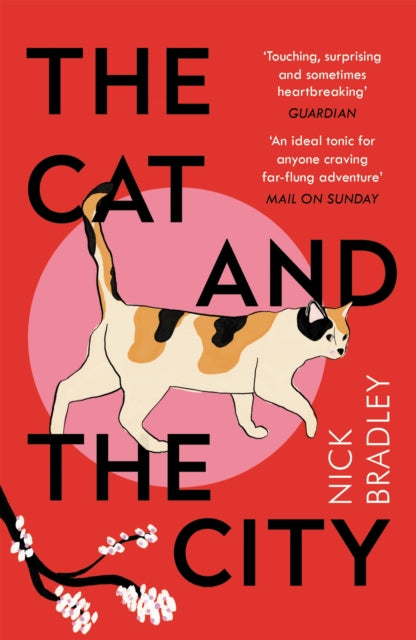 Cat and The City: 'Vibrant and accomplished' David Mitchell