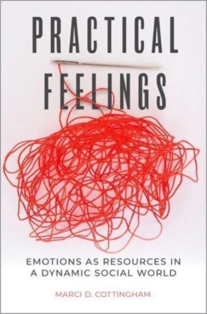 Practical Feelings: Emotions as Resources in a Dynamic Social World