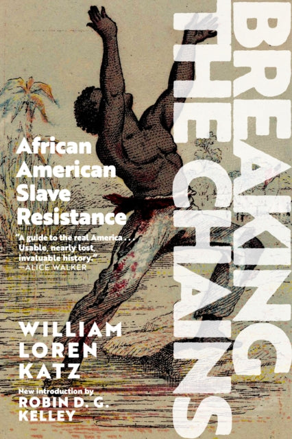 Breaking The Chains: African-American Slave Resistance