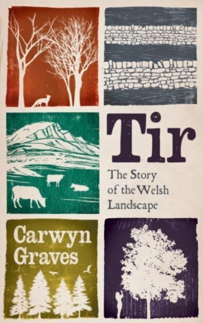 Tir: The Story of the Welsh Landscape