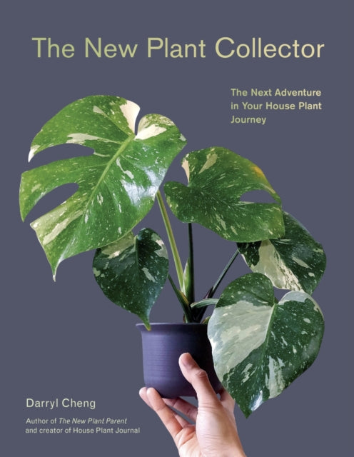 The New Plant Collector: The Next Adventure in Your House Plant Journey