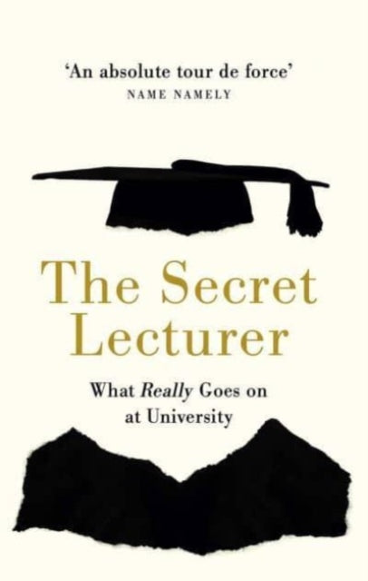 The Secret Lecturer: What Really Goes on at University