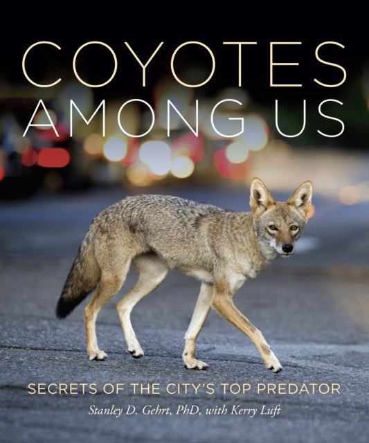 Living With Coyotes: Understanding the Ghost Dogs of Urban America