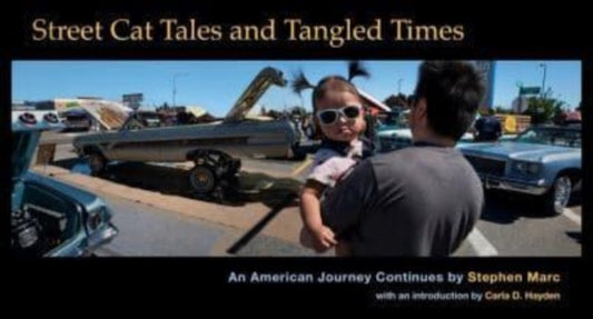 Street Cat Tales and Tangled Times: An American Journey Continues